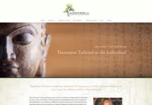 Websites for acupuncture and wellness practitioners