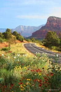 Driving to Sedona with wildflowers