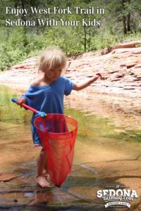 Enjoy West Fork Trail in Sedona With Your Kids