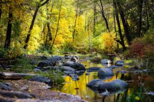 Oak Creek Canyon in the Fall