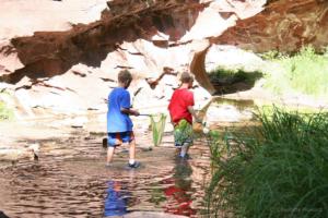 West Fork Trail Sedona - kids playing in Oak Creek