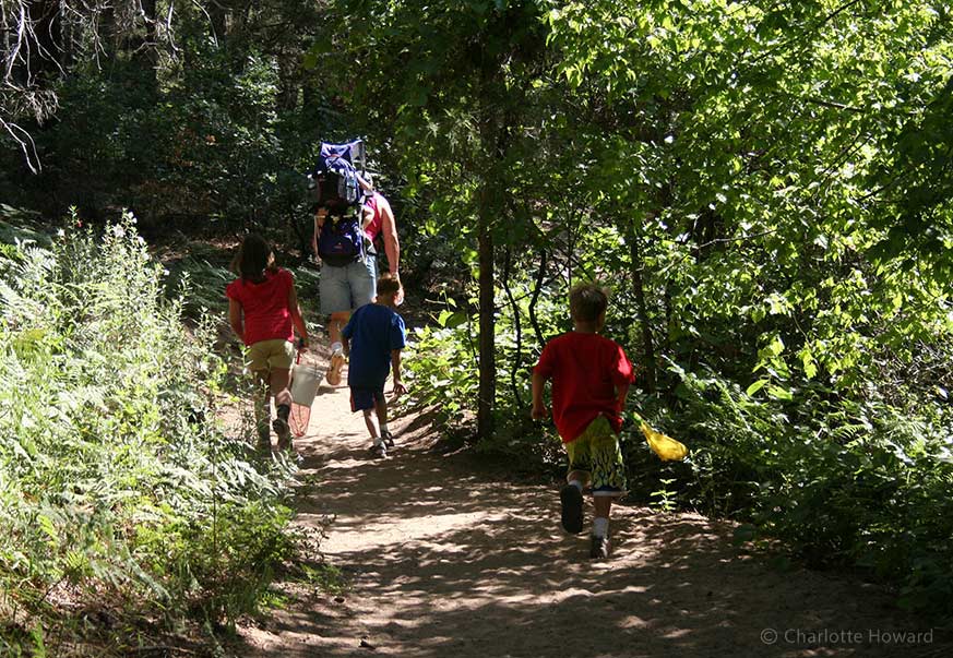 West Fork Trail Sedona - Hiking in with the family