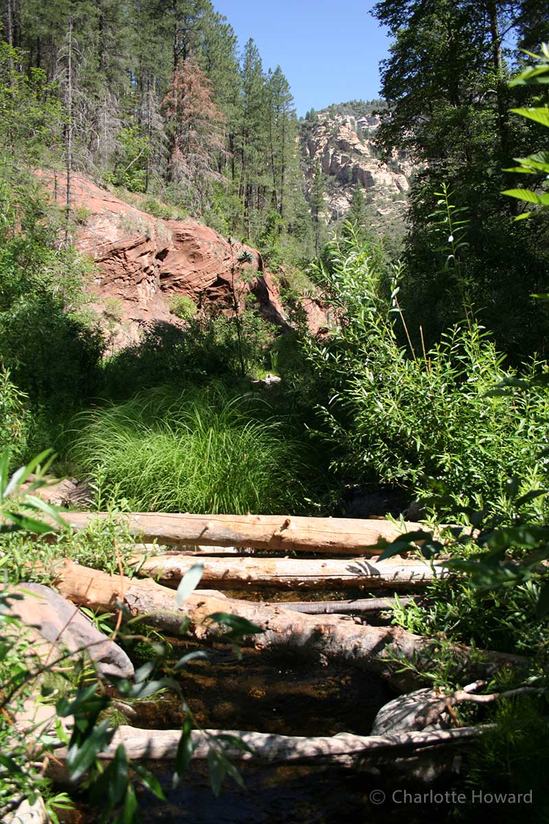 Westfork Trail in Sedona - fallen trees make great playgrounds for kids